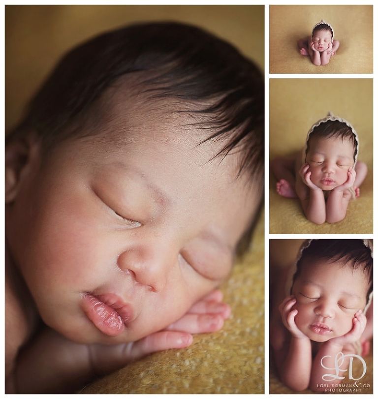 lori-dorman-photography-spring-family-maternity-newborn_0832.jpg