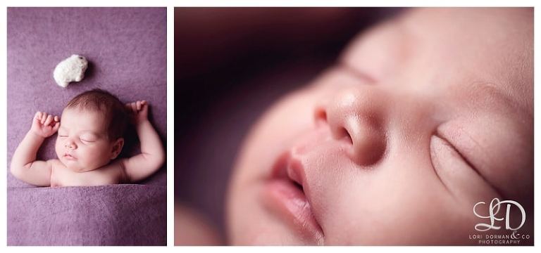 lori-dorman-photography-spring-family-maternity-newborn_1211.jpg