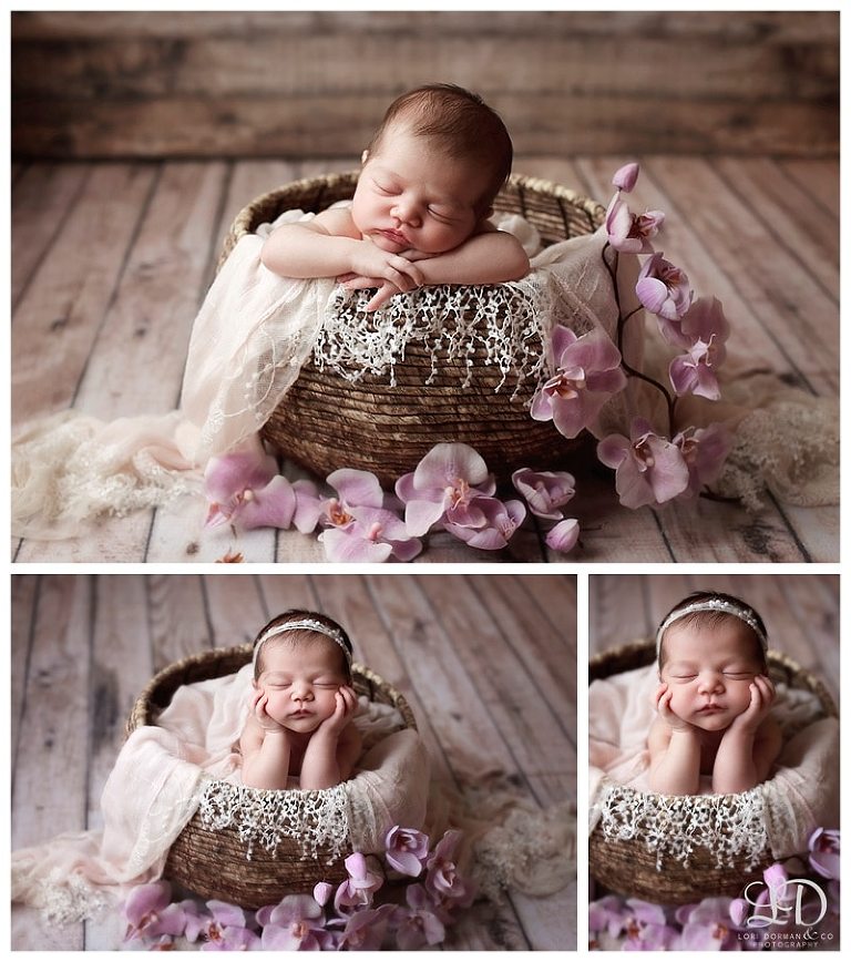 lori-dorman-photography-spring-family-maternity-newborn_1213.jpg