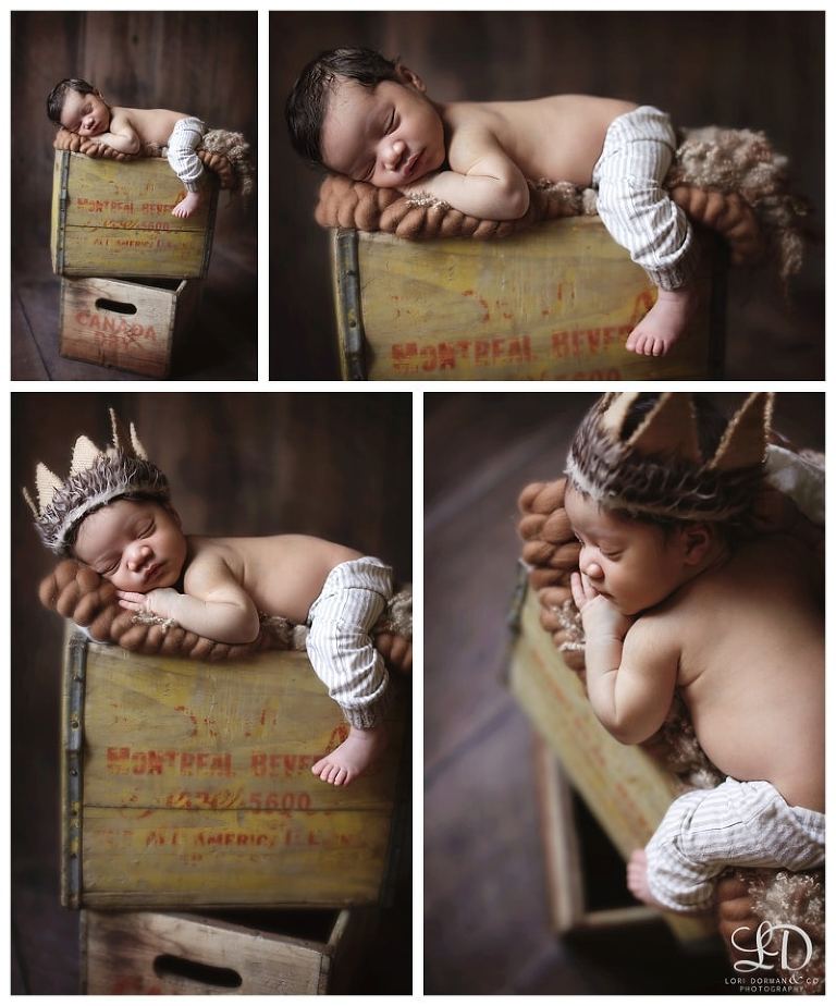 lori-dorman-photography-spring-family-maternity-newborn_1501.jpg
