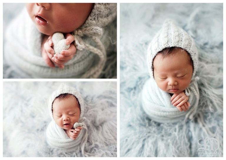 lori-dorman-photography-spring-family-maternity-newborn_1596.jpg