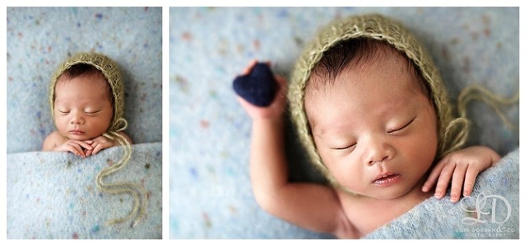 lori-dorman-photography-spring-family-maternity-newborn_1600.jpg