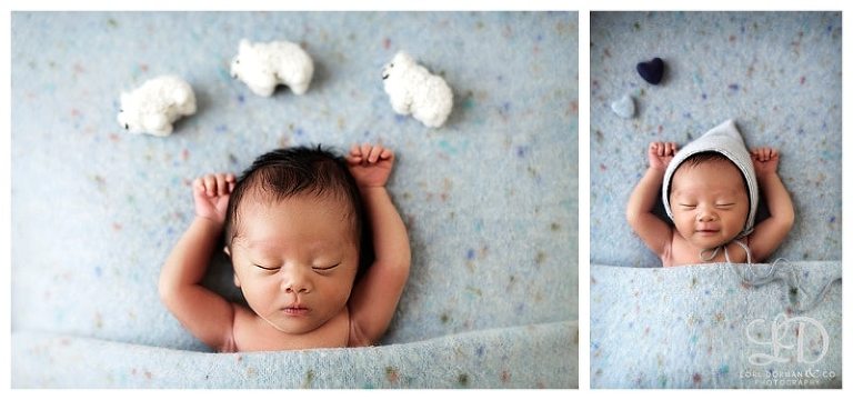 lori-dorman-photography-spring-family-maternity-newborn_1601.jpg