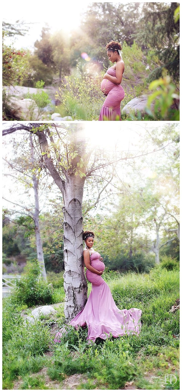 lori-dorman-photography-spring-family-maternity-newborn_1625.jpg