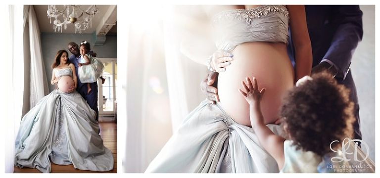 lori dorman photography-maternity photographer-maternity photographer-pregnancy photography-pregnancy photographer-Los Angeles maternity photographer_0009.jpg