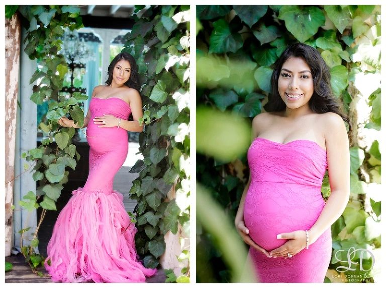 lori dorman photography-maternity photographer-maternity photography-pregnancy photography-pregnancy photographer-Los Angeles maternity photographer_0018.jpg