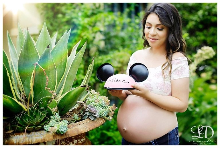 lori dorman photography-maternity photographer-maternity photography-pregnancy photography-pregnancy photographer-Los Angeles maternity photographer_0022.jpg