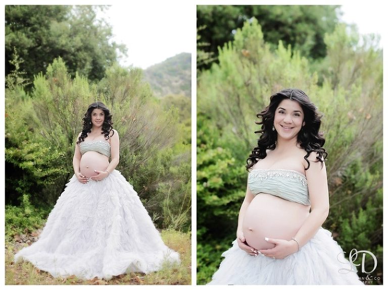lori dorman photography-maternity photographer-maternity photography-pregnancy photography-pregnancy photographer-Los Angeles maternity photographer_0053.jpg
