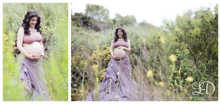 lori dorman photography-maternity photographer-maternity photography-pregnancy photography-pregnancy photographer-Los Angeles maternity photographer_0054.jpg