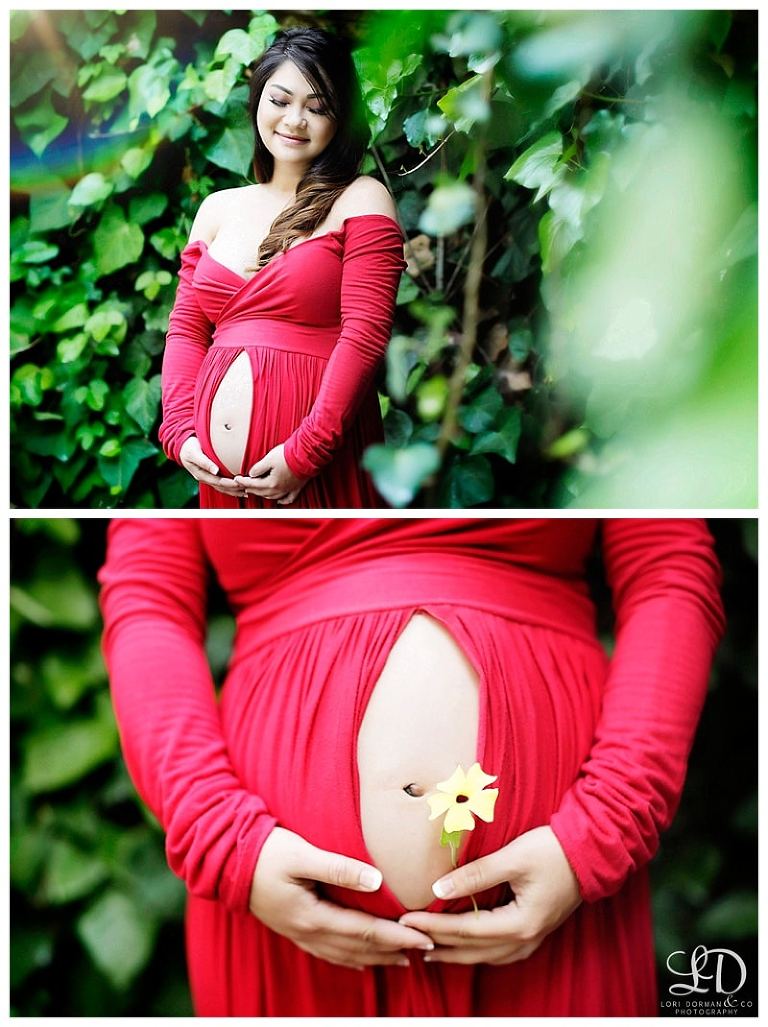 lori dorman photography-maternity photographer-maternity photography-pregnancy photography-pregnancy photographer-Los Angeles maternity photographer_0156.jpg