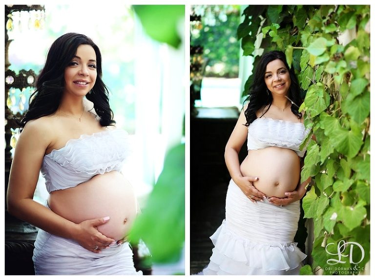 lori dorman photography-maternity photographer-maternity photography-pregnancy photography-pregnancy photographer-Los Angeles maternity photographer_0227.jpg