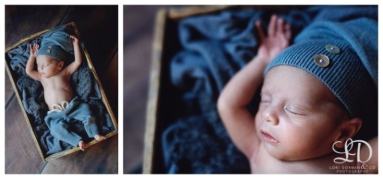 lori dorman photography-newborn photography-newborn photographer-baby photography-baby photographer-Los Angeles newborn photographer_0013.jpg