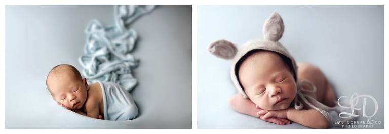 lori dorman photography-newborn photography-newborn photographer-baby photography-baby photographer-Los Angeles newborn photographer_0262.jpg