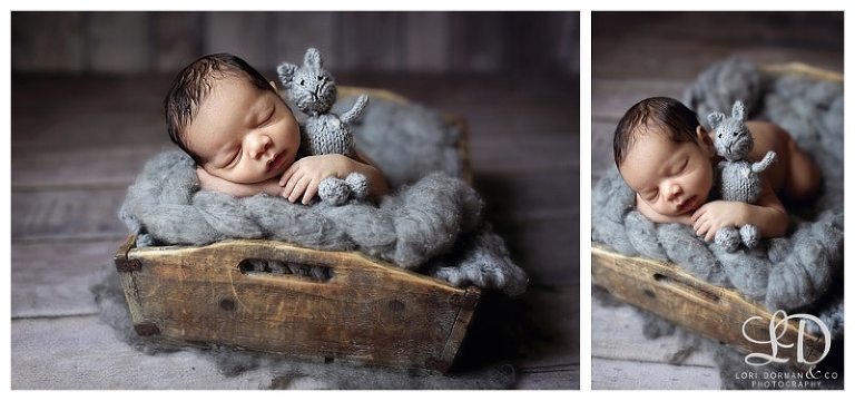 lori dorman photography-newborn photography-newborn photographer-baby photography-baby photographer-Los Angeles newborn photographer_0287.jpg