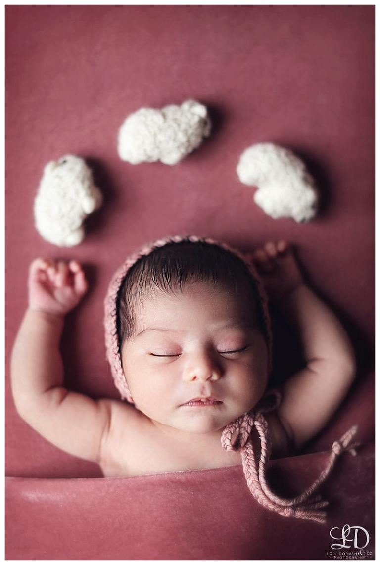 lori-dorman-photography-spring-family-maternity-newborn_1827.jpg