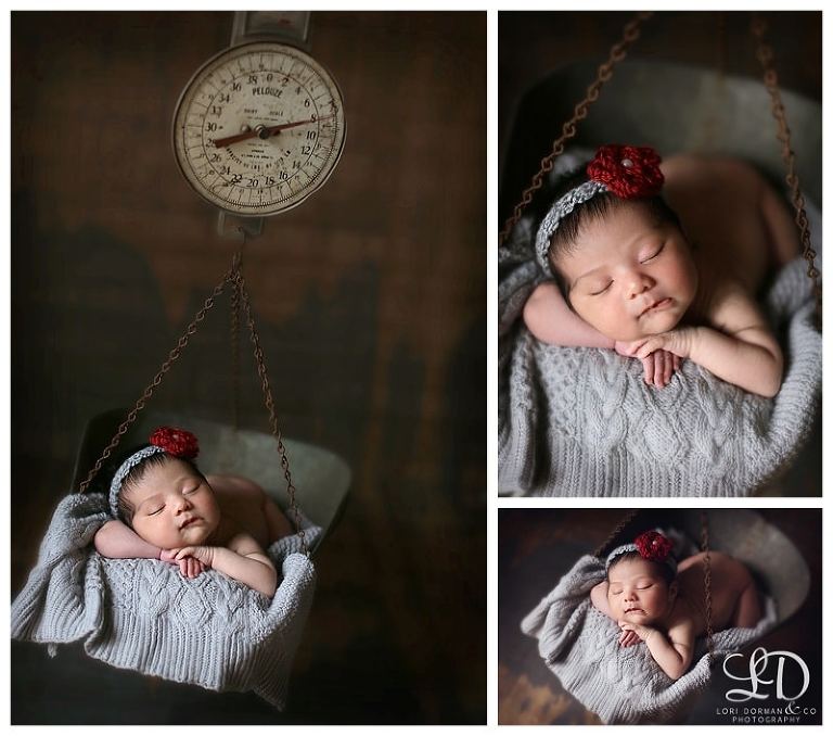 lori-dorman-photography-spring-family-maternity-newborn_1839.jpg