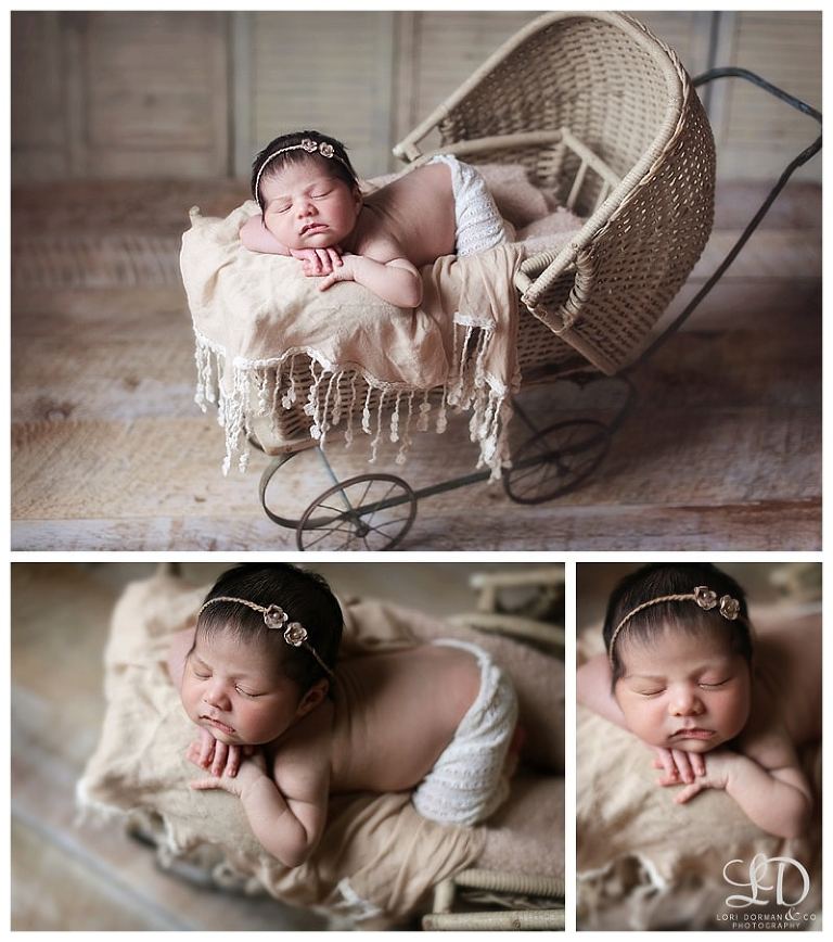 lori-dorman-photography-spring-family-maternity-newborn_1840.jpg