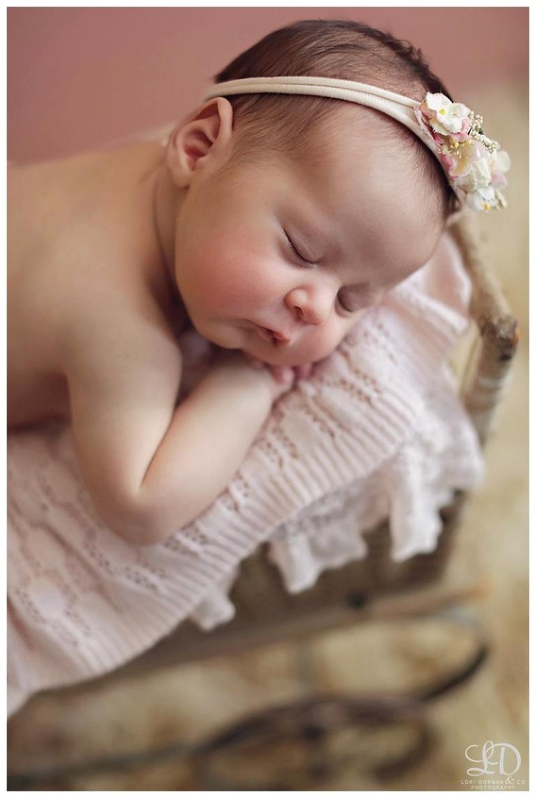 lori-dorman-photography-spring-family-maternity-newborn_1901.jpg