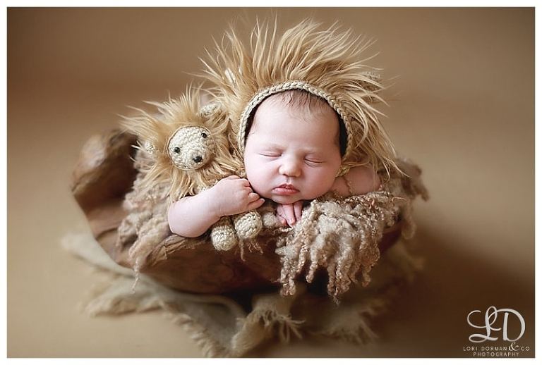 adorable newborn girl photoshoot-christmas baby-newborn and family-lori dorman photography_0129.jpg