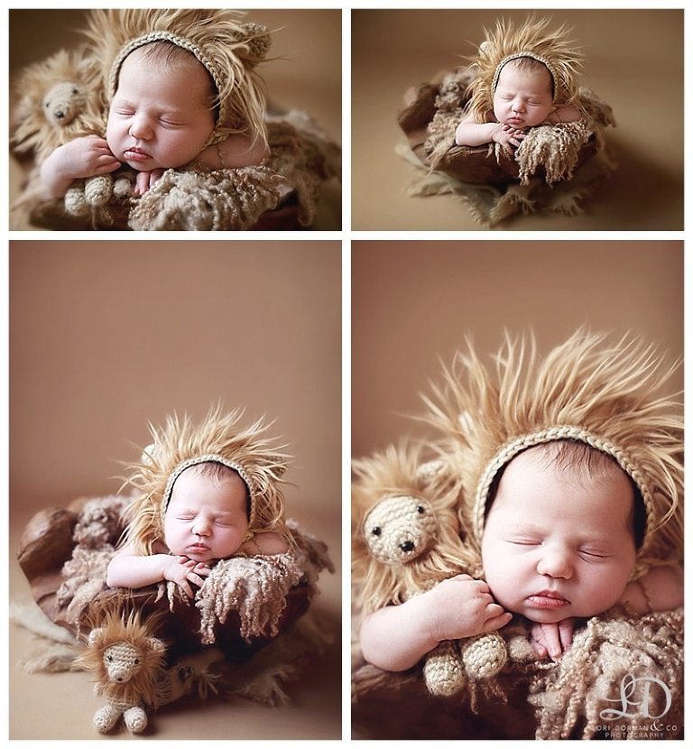 adorable newborn girl photoshoot-christmas baby-newborn and family-lori dorman photography_0130.jpg