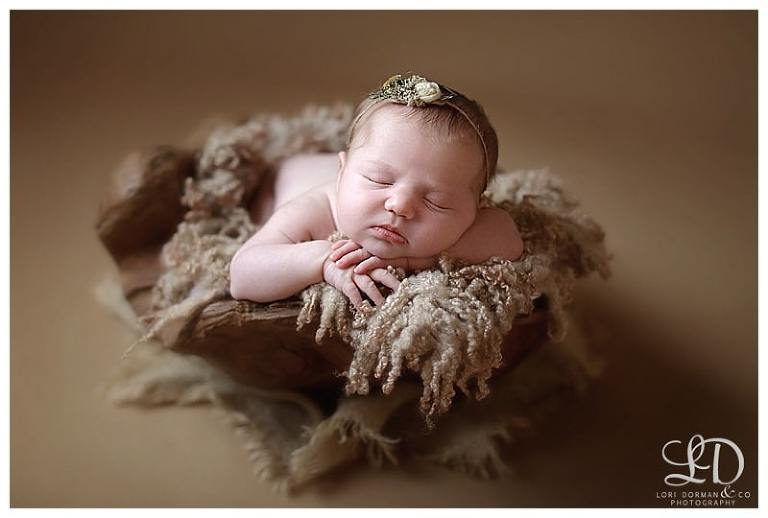 adorable newborn girl photoshoot-christmas baby-newborn and family-lori dorman photography_0131.jpg