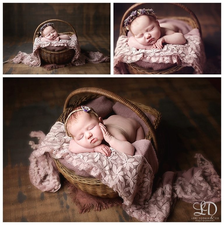 adorable newborn girl photoshoot-christmas baby-newborn and family-lori dorman photography_0136.jpg