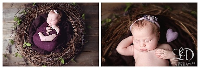 adorable newborn girl photoshoot-christmas baby-newborn and family-lori dorman photography_0139.jpg