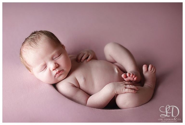 adorable newborn girl photoshoot-christmas baby-newborn and family-lori dorman photography_0140.jpg