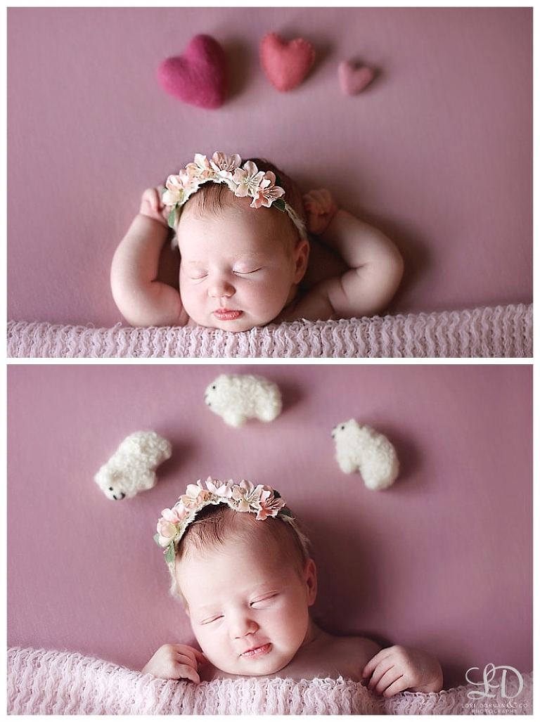 adorable newborn girl photoshoot-christmas baby-newborn and family-lori dorman photography_0141.jpg