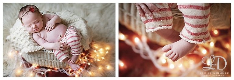 adorable newborn girl photoshoot-christmas baby-newborn and family-lori dorman photography_0143.jpg