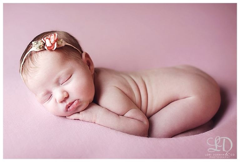 adorable newborn girl photoshoot-christmas baby-newborn and family-lori dorman photography_0146.jpg