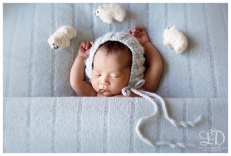 adorable-newborn photography-baby photoshoot-lori dorman_0120.jpg