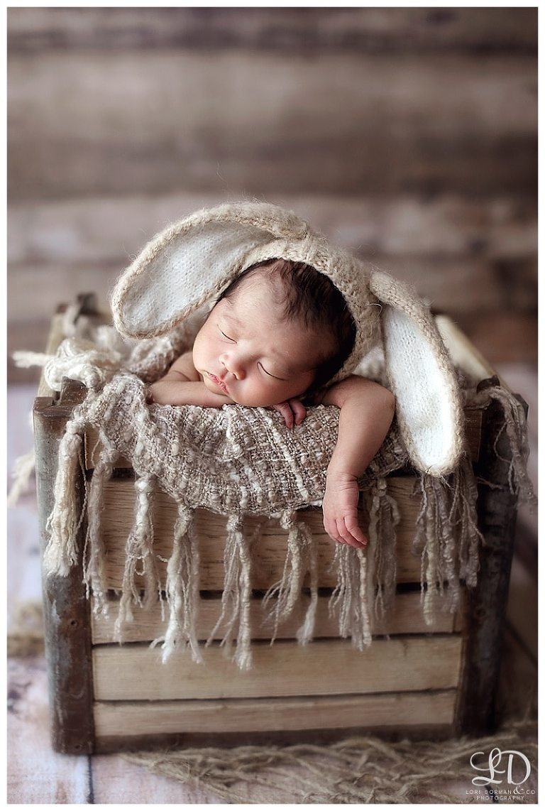 adorable-newborn photography-baby photoshoot-lori dorman_0139.jpg
