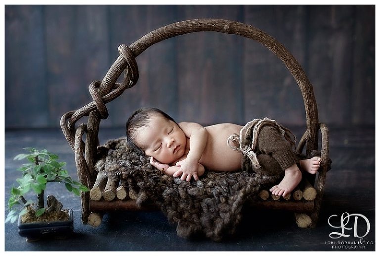 adorable-newborn photography-baby photoshoot-lori dorman_0146.jpg