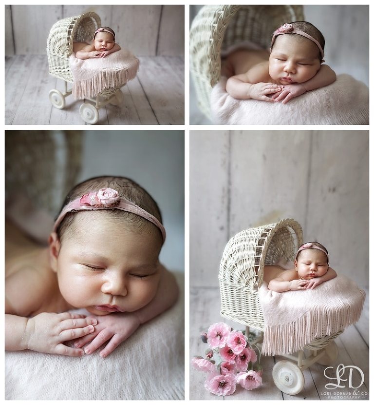 dreamy-home newborn-baby girl-lori dorman photography_0348.jpg