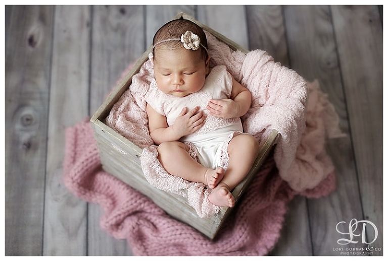 dreamy-home newborn-baby girl-lori dorman photography_0357.jpg