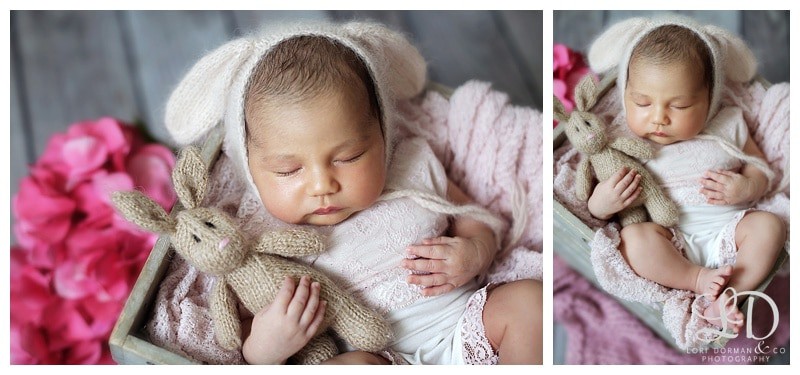 dreamy-home newborn-baby girl-lori dorman photography_0358.jpg