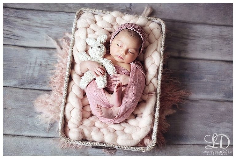 dreamy-home newborn-baby girl-lori dorman photography_0361.jpg