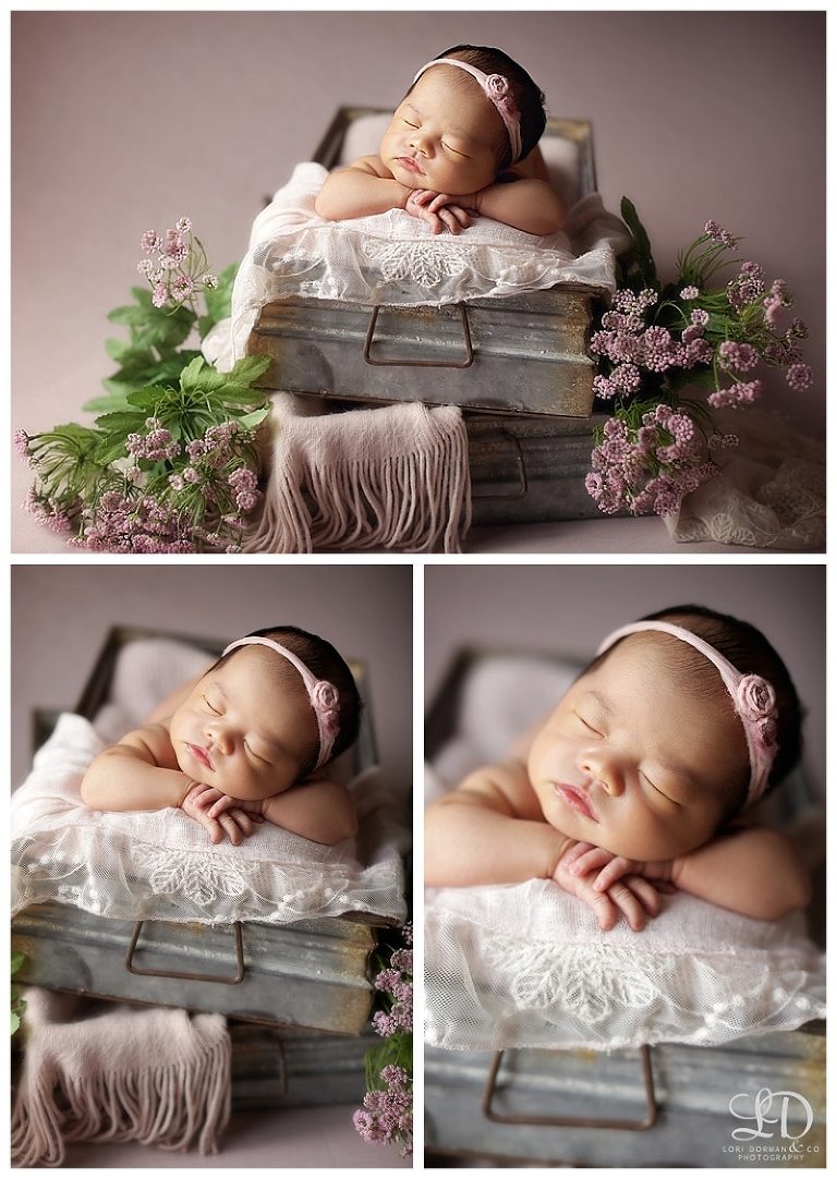 dreamy newborn girl photoshoot-floral newborn-lori dorman photography_0626.jpg