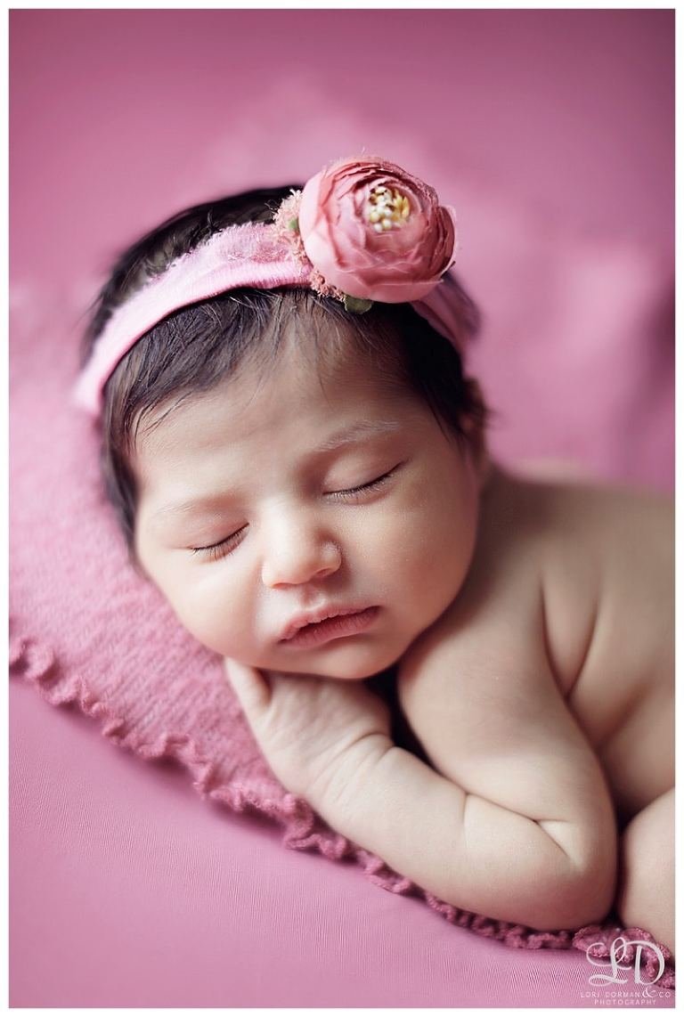 dreamy pink newborn photoshoot-girl newborn-los angeles-lori dorman photography_0300.jpg
