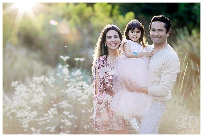 family photoshoot-outdoors-park shoot-lori dorman photography_0433.jpg