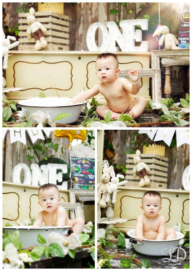 first birthday photoshoot-boy birthday shoot-boy cake smash-lori dorman photography-cake smash photoshoot_0796.jpg