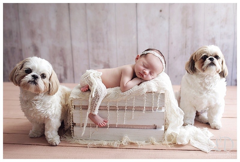 home newborn-lori dorman photography-los angeles-baby girl_0413.jpg