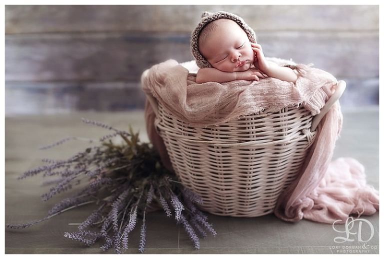 home newborn-lori dorman photography-los angeles-baby girl_0417.jpg