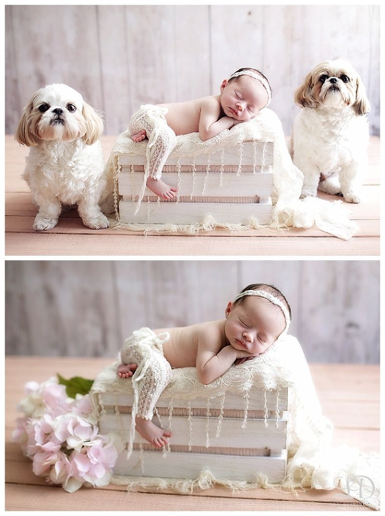 home newborn-lori dorman photography-los angeles-baby girl_0420.jpg