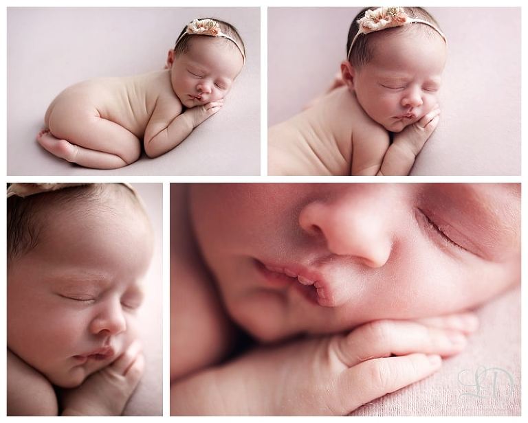 home newborn-lori dorman photography-los angeles-baby girl_0426.jpg