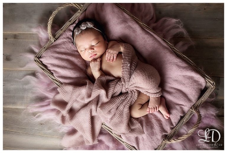 soft sweet newborn photoshoot-lori dorman photography_0514.jpg