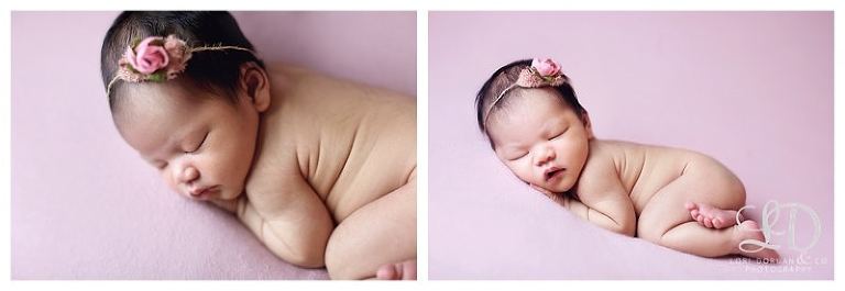 soft sweet newborn photoshoot-lori dorman photography_0520.jpg