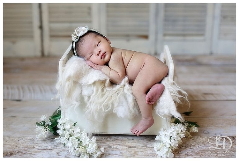 soft sweet newborn photoshoot-lori dorman photography_0523.jpg