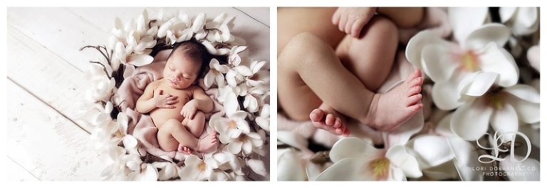 soft sweet newborn photoshoot-lori dorman photography_0533.jpg